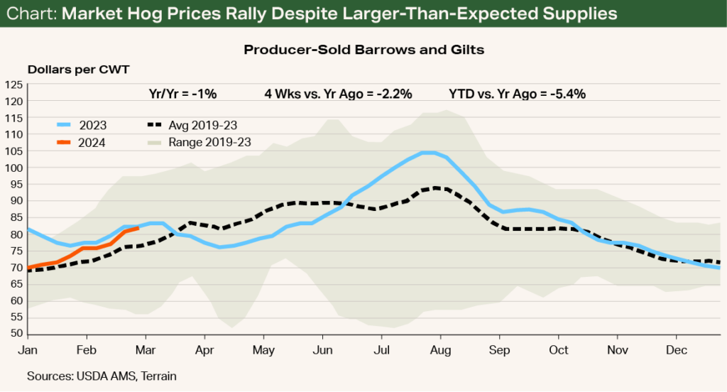 Chart - Market Hog Prices Rally Despite Larger-Than-Expected Supplies